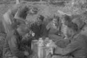 6th SS „NORD”.jpg