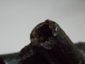 DSCN6435.jpg