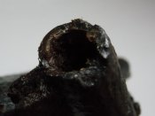 DSCN6436.jpg