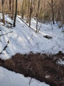 IMG_20220126_131230.jpg