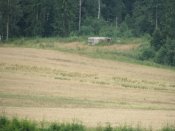 IMG_1392.JPG