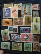 IMG_20220125_133457.jpg