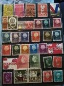 IMG_20220125_133645.jpg