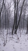 DSC_0018.JPG