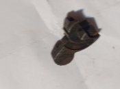 IMG_20220130_193607.jpg