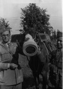 antigas_cavallo.jpg