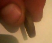 IMG0021A.jpg