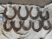 Изображение 373.jpg