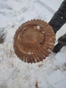 IMG_20220131_124129.jpg