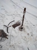 IMG_20220131_124002.jpg
