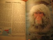 Мир диких животных Обезьяны 1984г
