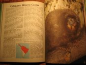 Мир диких животных Обезьяны 1984г
