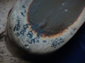 DSC08940.JPG