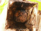 2013-07-01 15-13-18.JPG