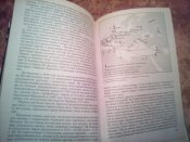 Евреи которых не было
