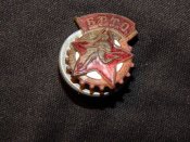 1053390.jpg