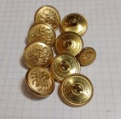 Пуговицы Австрия 9 шт.