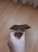 20220213_154247.jpg