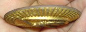 DSC06345.JPG
