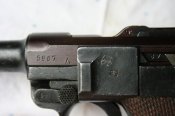 IMG_7703.jpg