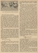 VS-10-1936_1.jpg