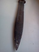 IMG1013.jpg