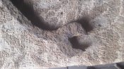 20220225_170352.jpg