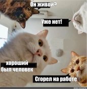 a7c2f0137dbeee76d2e9127f023da004.jpg