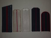 P1010003.JPG