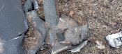 IMG_20220404_155252.jpg