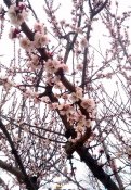 IMG_20220408_143426.jpg