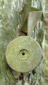 DSC01550R.JPG