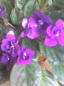 13-06-09_1310.jpg