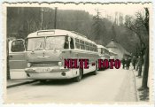 Ikarus.jpg