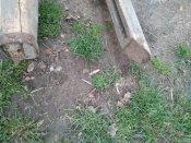 IMG-852222eb68785cea62cc887ba7e45363-V.jpg