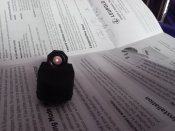 Приціл Leupold Deltapiont Micro коліматор на короткий