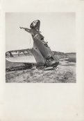 Flugzeug SOWJET Polikarpow.jpg