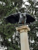 20220411_111856[1].jpg