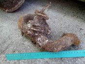 IMG_20130710_103138.jpg