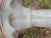 IMG_20220427_182302.jpg