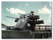 Quad-5084thEng_Battalion.jpg