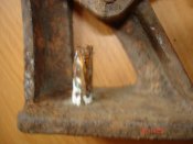 DSC09960.JPG