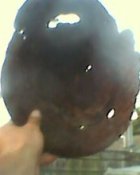 IMG0030B.jpg