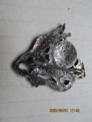 альпийские стрелки,Франция