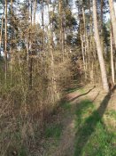 IMG_20220430_183656-min.jpg