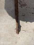 IMG_20220503_162149.jpg