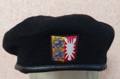 Чёрный берет Германия эмблема земли Шлезвиг-Гольштейн