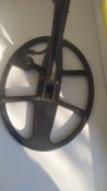 IMG_20220504_080527.jpg