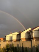 931127CC-0CF2-4391-BC84-7EDE73353276.jpeg