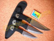 Комплект метательных ножей Сталь 3 шт с чехлом